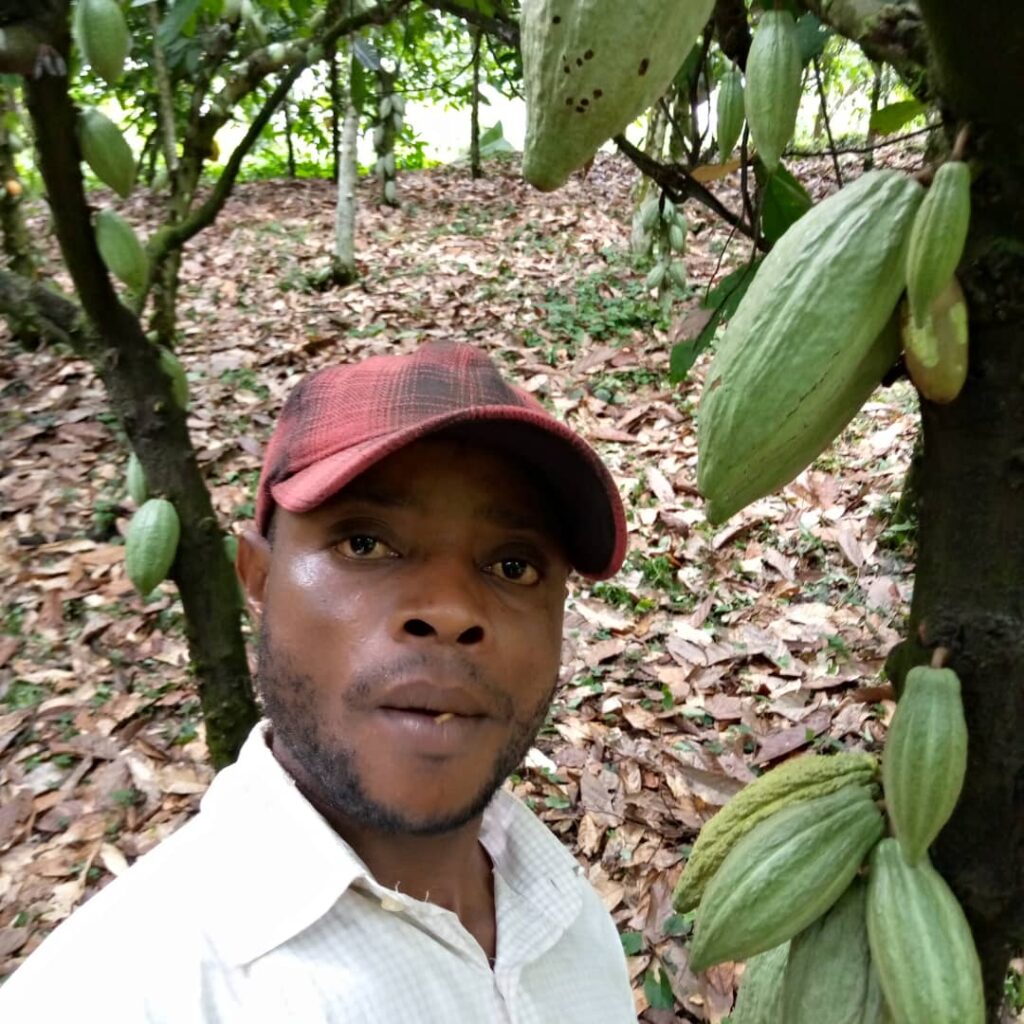 Young African farmer working in agriculture as an employment opportunity.